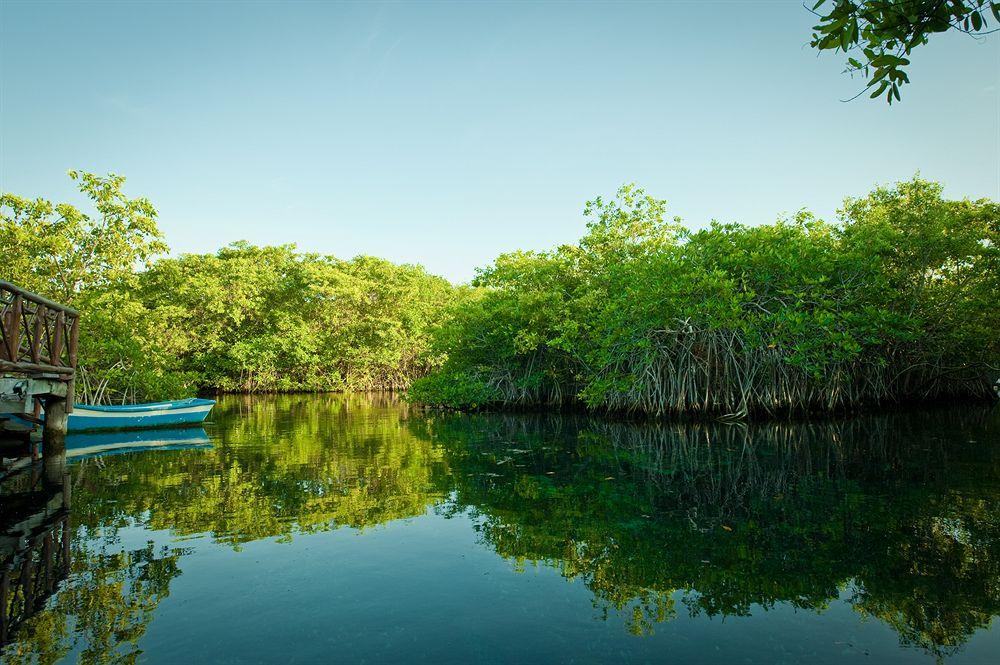 Bel Air Collection Resort & Spa Riviera Maya Xpu Ha Bagian luar foto